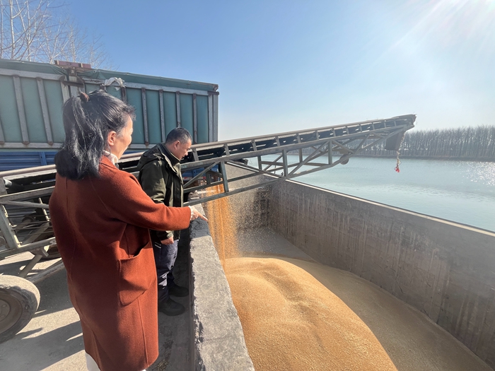 “黨建領(lǐng)航，守護(hù)糧安”淮糧集團(tuán)開展特色品牌黨建活動(dòng)